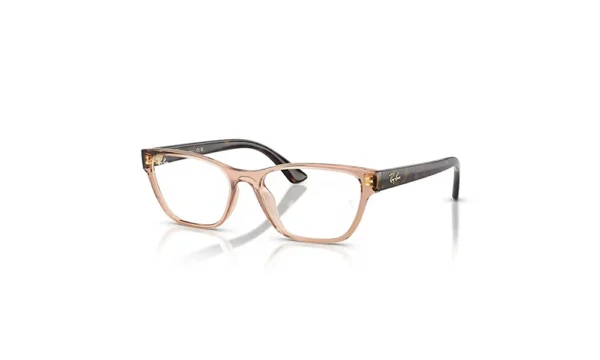 RAY BAN RX7252 8422