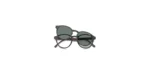CLIP CARRERA 8066/CS OIT99 50 21 145 02