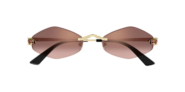 SOLAR CARTIER CT0433S 006 55 20 140 02