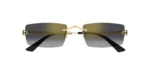 SOLAR CARTIER CT0598S 001 55 20 145 02