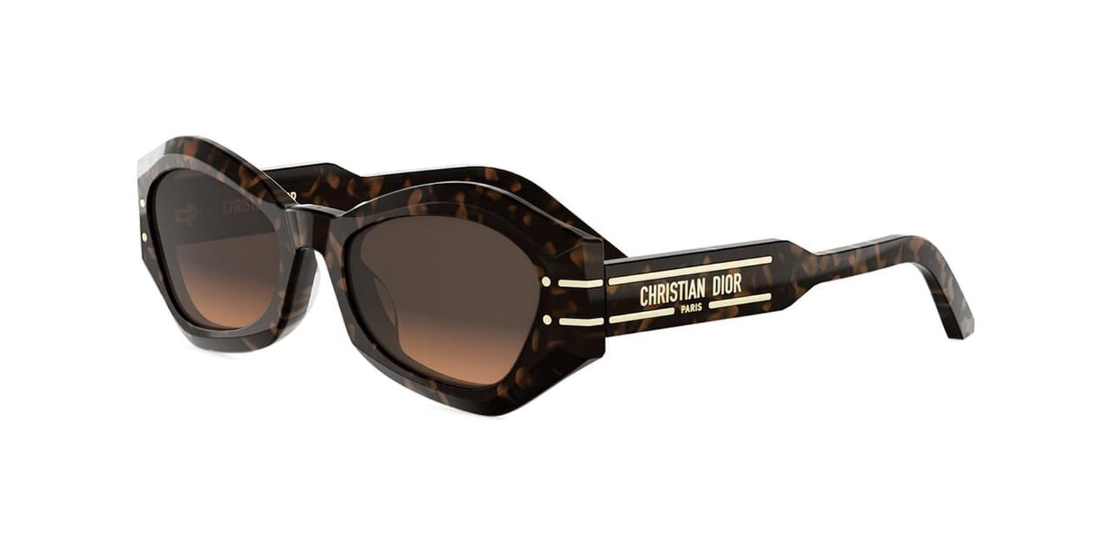 SOLAR DIOR SIGNATURE B1U 24F1 55 20 135