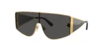 SOLAR DOLCE&GABBANA DG2305 02/87 44 144 145