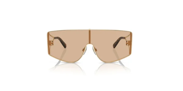 SOLAR DOLCE&GABBANA DG2305 1365/5A 44 144 145 02