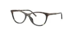 ARO DOLCE&GABBANA DG3443 3478 53 16 145