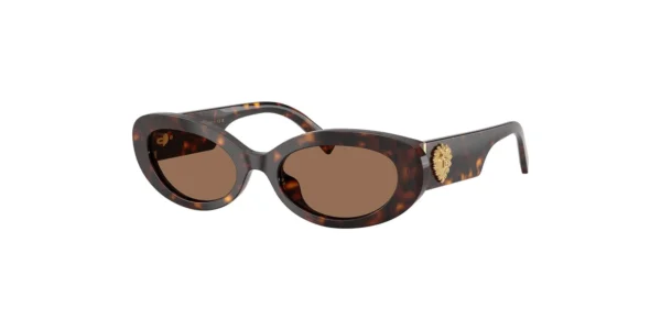SOLAR DOLCE&GABBANA DG4537 502/73 53 19 145