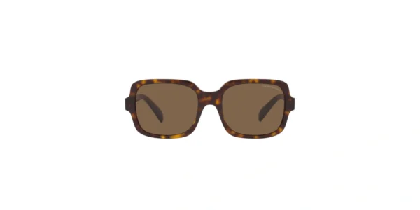 SOLAR EMPORIO ARMANI EA4195 5026/73 55 19 140 02