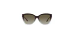 SOLAR EMPORIO ARMANI EA4198 5989/8E 55 17 140 02