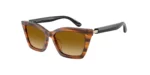 SOLAR EMPORIO ARMANI EA4250U 6268/2L 54 16 140