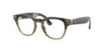 ARO RAY BAN META RW7002 8531 49 22 150