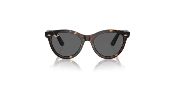 SOLAR RAY BAN RB2241 902/B1 54 21 150 02