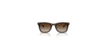 SOLAR RAY BAN RB4420 710/13 65 18 145 02