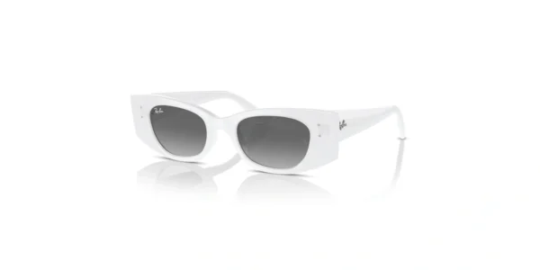 SOLAR RAY BAN RB4427 6759/11 49 20 145