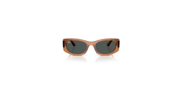 SOLAR RAY BAN RB4446 678487 54 21 145 02