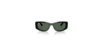 SOLAR RAY BAN RB4446 667771 54 21 145 02