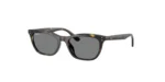 SOLAR RAY BAN RB4474 710/87 54 18 145