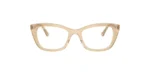 ARO RAY BAN RX5433 8294 52 19 140 02