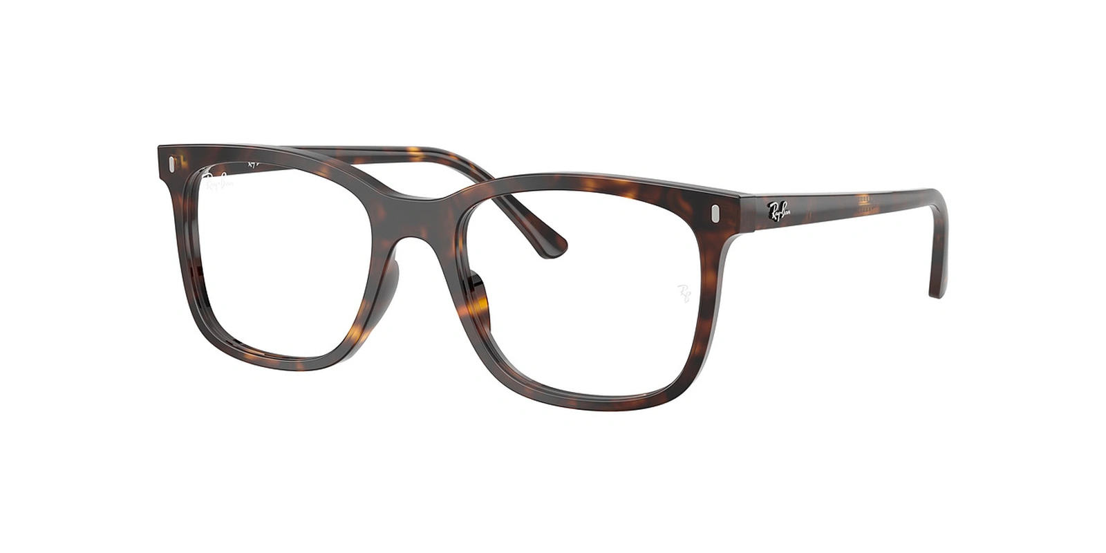 ARO RAY BAN RX5446 2012 53 19 145
