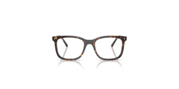 ARO RAY BAN RX5446 2012 53 19 145 02