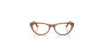 ARO RAY BAN RX5449D 8201 54 18 145 02