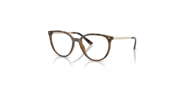 ARO RAY BAN RX7246 2012 53 17 145