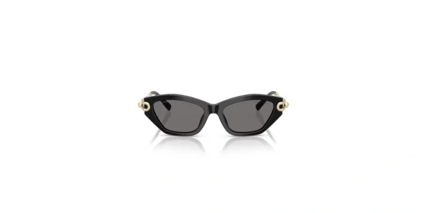 SOLAR TIFFANY TF4231U 8001/81 53 17 140 02