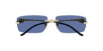 CARTIER CT0430S 004 02