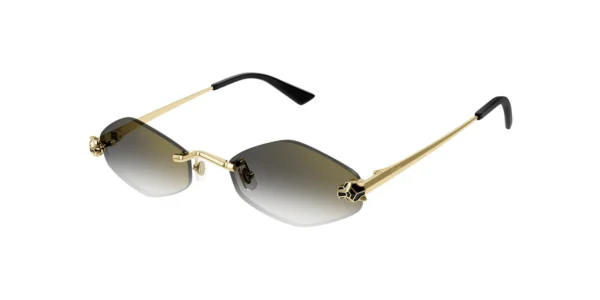 CARTIER CT0433S 001