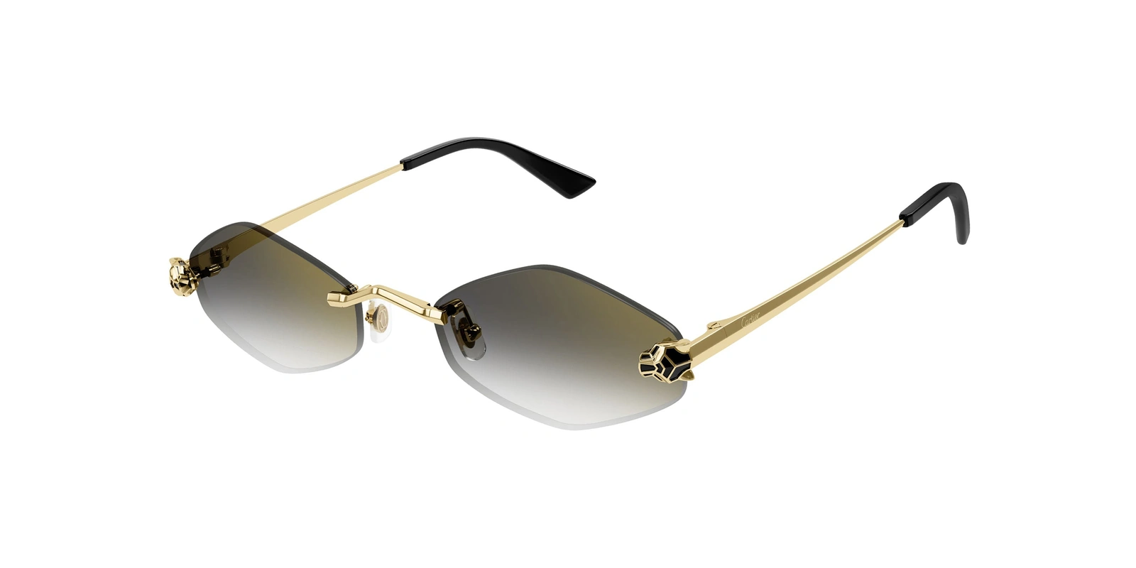 CARTIER CT0433S 001