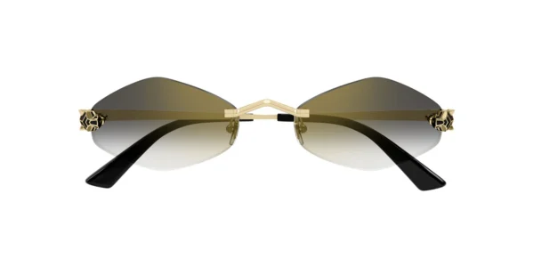CARTIER CT0433S 001 02