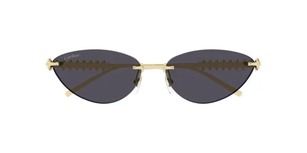 CARTIER CT0543S 002 02