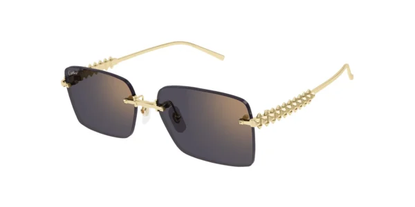 CARTIER CT0545S 001