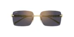 CARTIER CT0545S 001 02
