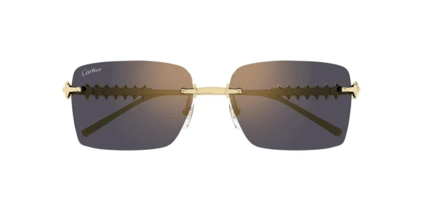 CARTIER CT0545S 001 02