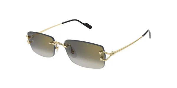 CARTIER CT0550S 001