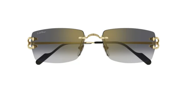 CARTIER CT0550S 001 02
