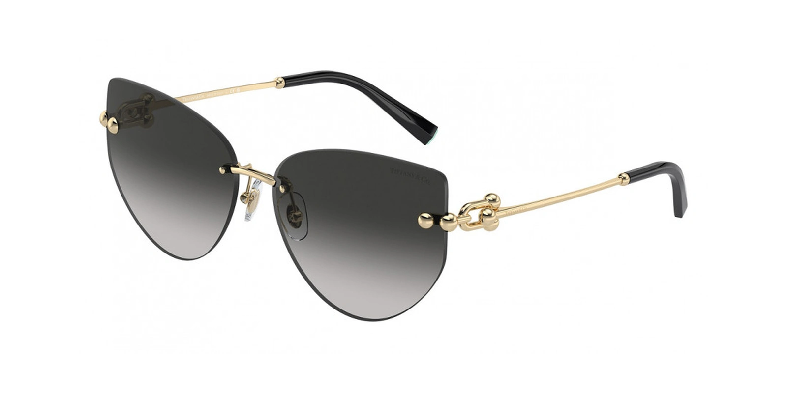 TIFFANY TF3096 6021/3C