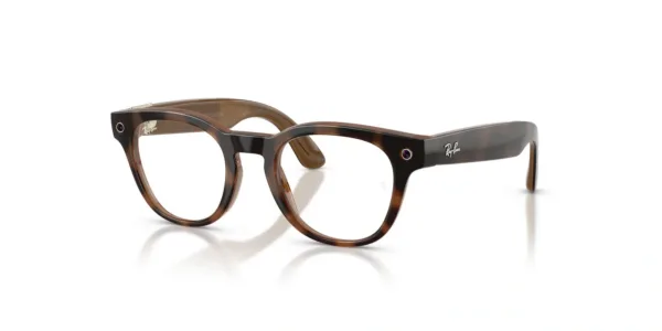 Ray-Ban Meta Scriber Optics RW7002 8528