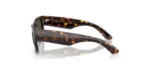 Ray-Ban RB0840S 902/31