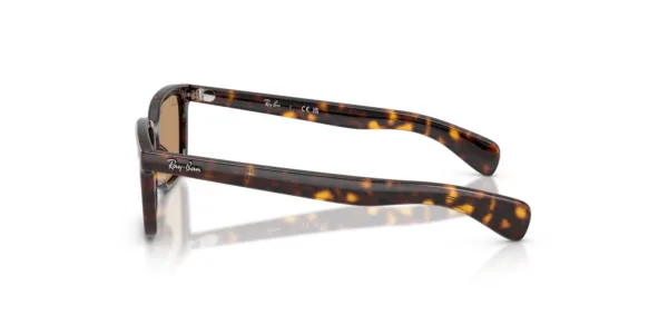 Ray-Ban RB2234 902/53