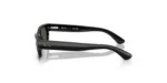 Ray-Ban RB2236 901/31