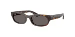 Ray-Ban RB2236 902/B1