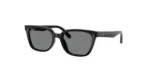 Ray-Ban RB2243D 901/87