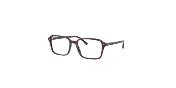 Ray-Ban RX5431 8393