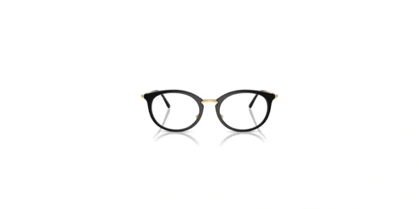Ray-Ban RX7255 2000