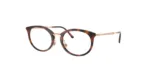 Ray-Ban RX7255 5687