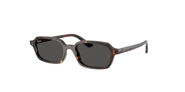 Ray-Ban Zaya RB4456 1359/87 | Óculos Solar Unissex