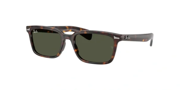 Ray-Ban RB2234 902/31
