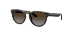 Ray-Ban RB2237 710/T5
