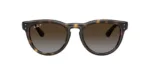 Ray-Ban RB2237 710/T5