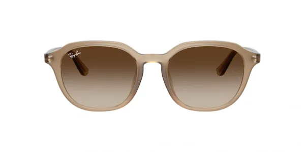 Ray-Ban RB4459 616613